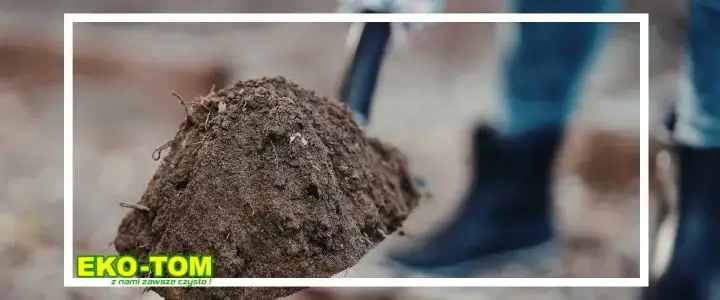 Wywóz ziemi z wykopu pod basen lub fundamenty – jak to zorganizować w powiecie poznańskim?